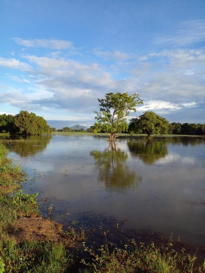 Lake Edge Dambulla Eksteriør bilde