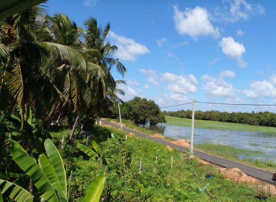 Lake Edge Dambulla Eksteriør bilde