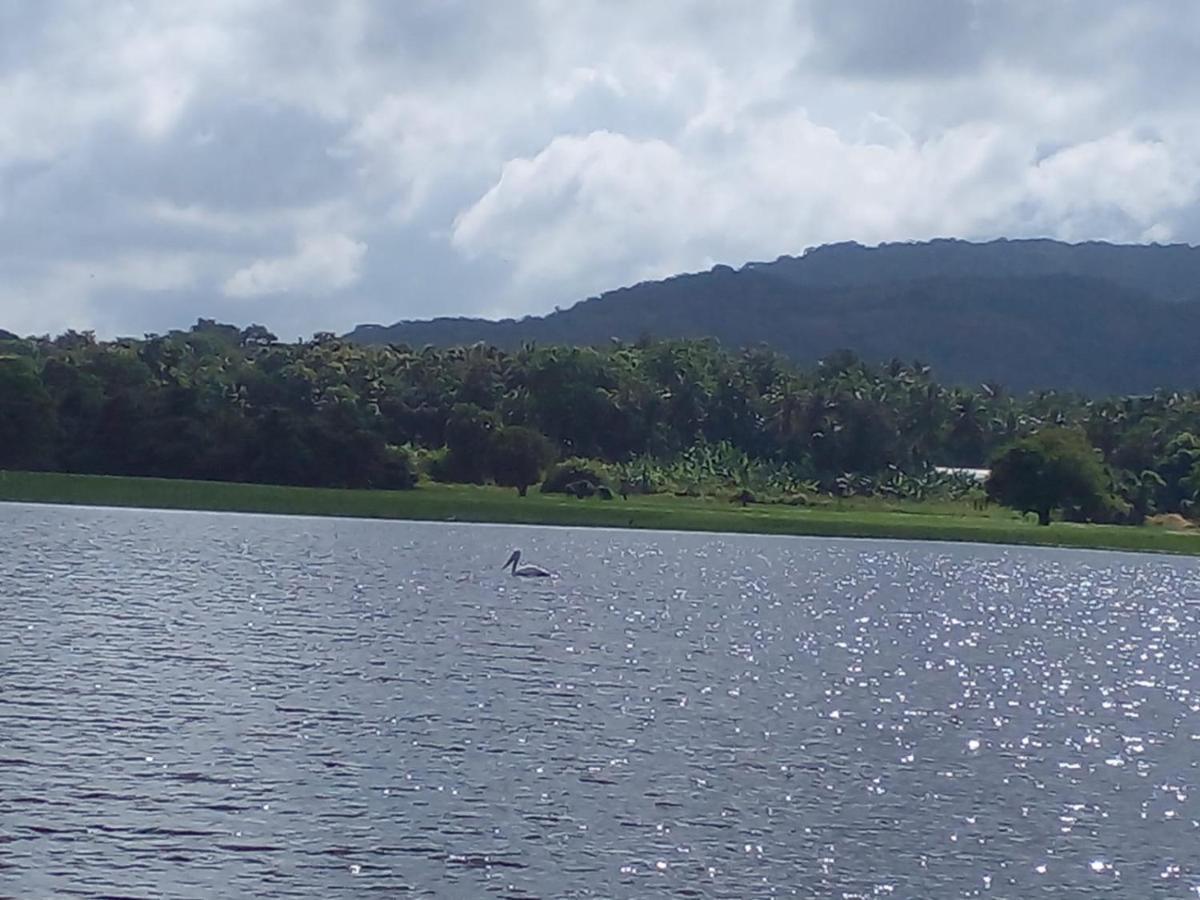 Lake Edge Dambulla Eksteriør bilde