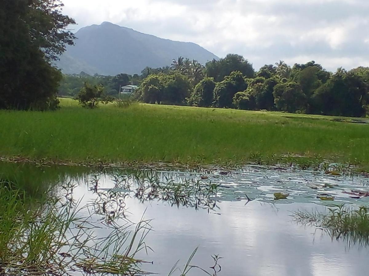 Lake Edge Dambulla Eksteriør bilde