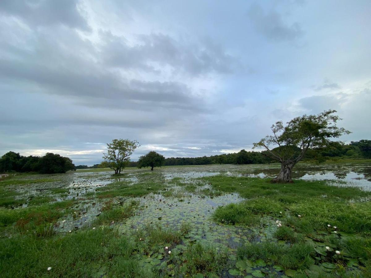 Lake Edge Dambulla Eksteriør bilde